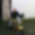 Profilbild von Manfred Seil