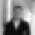 Profilbild von Wulf Borrmeister