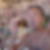 Profilbild von Harkan Kaya