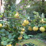 Profilfoto von Elke Förster