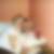 Profilbild von Yvette-Torsten Walther
