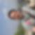 Profilbild von Morris May