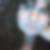 Profilbild von Anke Surace
