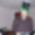 Profilbild von Ronny Mudlaff