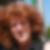 Profilbild von Bettina Gurtowski