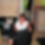 Profilbild von Gabriele Boldt