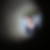 Profilbild von Christiane Bittner