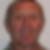 Profilbild von Walter Hollfelder