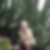 Profilbild von Anke Schirmer