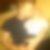 Profilbild von Michael Peda