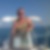 Profilbild von Ralf Luthardt