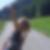 Profilbild von Sandy Walther