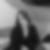 Profilbild von Marlies Däubl