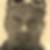 Profilbild von Marco Troyke