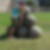 Profilbild von Andrea Stolle