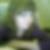 Profilbild von Kimberly Grabow