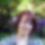 Profilbild von Stefanie Lange