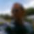 Profilbild von Frank Rabe
