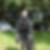 Profilbild von Milan Gode