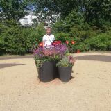 Profilfoto von Jörg Lange