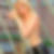 Profilbild von Susanne Schlier