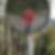 Profilbild von Konstanze Runge