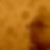 Profilbild von Steffen Hähnlein