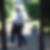 Profilbild von Norbert Sye