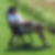 Profilbild von Michael Rücker