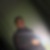 Profilbild von Denis Opalew