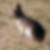 Profilbild von Oliver Bach