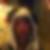 Profilbild von Ines Stasch