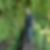 Profilbild von Peter Lenz