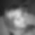 Profilbild von Sabine Henrichs