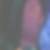 Profilbild von Thomas Gleis