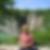 Profilbild von Susanne Hasanovic