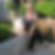 Profilbild von Uschi Hoppe-Elsner