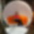 Profilbild von Kathleen Lochmann
