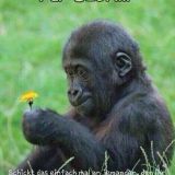 Profilfoto Petra Engelhardt Profilfoto von Petra Engelhardt