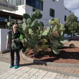 Profilfoto von Birgit Ivers