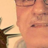 Profilfoto Volker Ulrich Profilfoto von Volker Ulrich