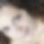 Profilbild von Mareike Nitschke