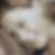 Profilbild von Claudia Pal