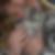 Profilbild von Katrin Matthes