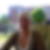 Profilbild von Petra Beyer