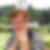 Profilbild von Rosemarie Skawran