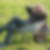 Profilbild von Carsten Krieger