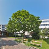 Foto der Schule Elly-Heuss-Realschule München, München