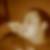 Profilbild von Philip Ruhle