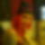 Profilbild von Susi Koch